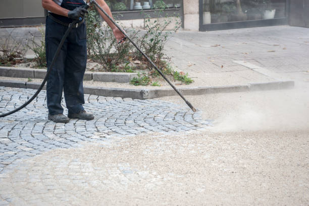 Best House Exterior Washing  in Robinwood, MD