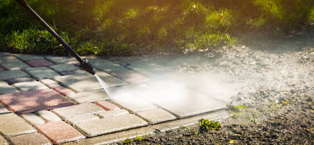 Best Spring Cleaning  in Robinwood, MD